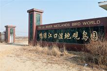 鴨綠江口濕地觀鳥