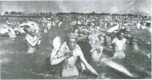 陝中戰役 陝中戰役