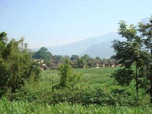 上碼頭自然村 上碼頭自然村