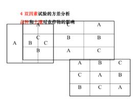 試驗因素 試驗因素