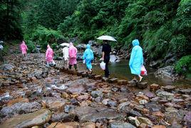 石鼓村[廣西欽州市欽北區青塘鎮下轄村]