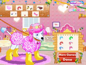 可愛貴賓 可愛貴賓