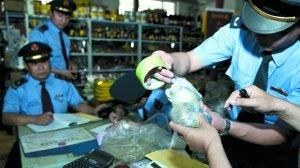 人工孜然 人工孜然