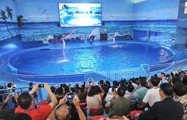 多彩貴州城極地海洋世界 多彩貴州城極地海洋世界