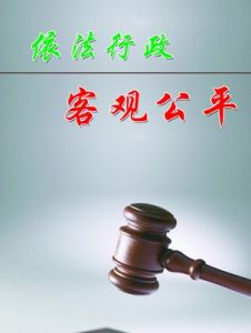 依法行政 依法行政