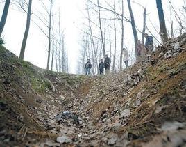 3·12安徽渦陽遇襲少女被拋屍事件 3·12安徽渦陽遇襲少女被拋屍事件