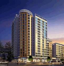 金茂精英現代城 金茂精英現代城