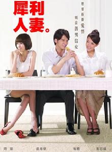 犀利人妻[2010年徐輔軍曾麗珍導演台灣電視劇]