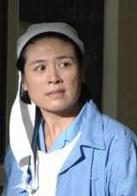 家有九鳳[2005年楊亞洲執導電視劇]