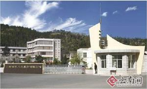 雲南西儀工業股份有限公司