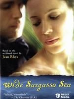 《夢回藻海》 《夢回藻海》