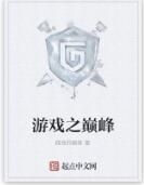 遊戲之巔峰 遊戲之巔峰