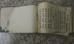 清早期的解語丹方子