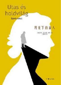 月光下的旅人 月光下的旅人