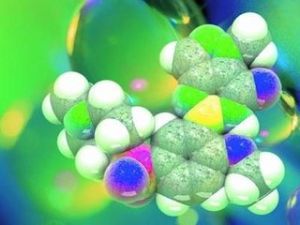 《多態性》 《多態性》