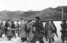 珍寶島自衛反擊戰