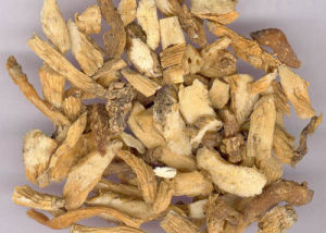 葫蘆竹節仙鶴湯 葫蘆竹節仙鶴湯