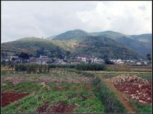 力六山小營村 力六山小營村