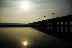 御河生態園 御河生態園