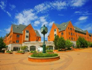 聖路易斯華盛頓大學