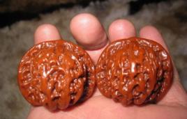 悶尖獅子頭 悶尖獅子頭