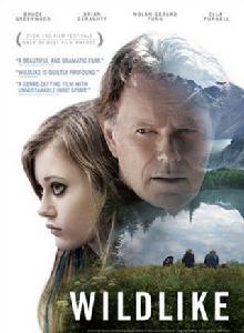 我心略野 我心略野