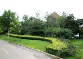 香江別墅 香江別墅