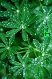 大自然風景 大自然風景