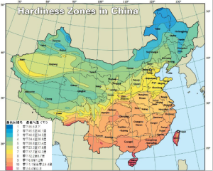 中國耐寒區域圖