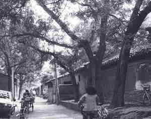 大菊胡同 大菊胡同