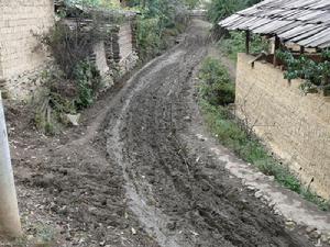 成新廠自然村基礎設施-進村道路