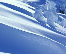 新雪地大逃亡 新雪地大逃亡