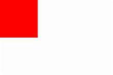 畢爾巴鄂市旗