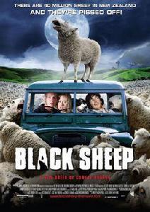 black sheep black sheep