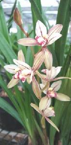 薛進澤 添加圖片