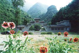 野花谷自然風景區 野花谷自然風景區