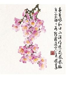 二十四番花信風 二十四番花信風