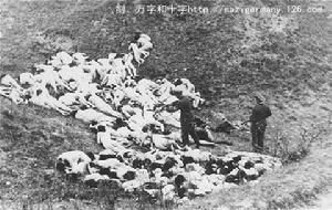 猶太人種族淨化大屠殺