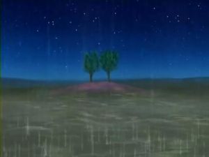 沙羅雙樹園 沙羅雙樹園