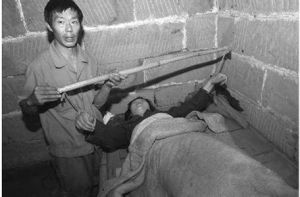 木僵狀態 木僵狀態