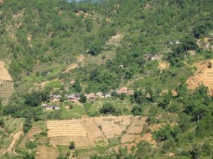 松坡林村 松坡林村