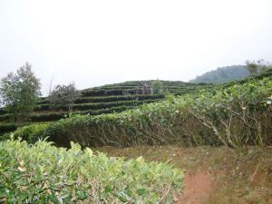 扎拉村自然村 扎拉村自然村