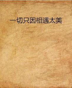 一切只因相遇太美 一切只因相遇太美