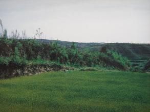 范家卓子鄉 范家卓子鄉