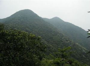 蓮花山郊野公園 蓮花山郊野公園
