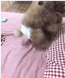 日天日地日空氣