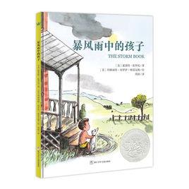 暴風雨中的孩子 暴風雨中的孩子