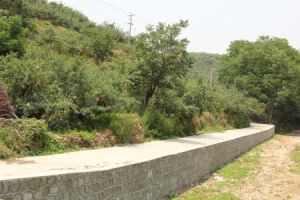 東陡崖村 東陡崖村