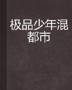 極品少年混都市 極品少年混都市