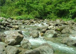 神農架自然保護區